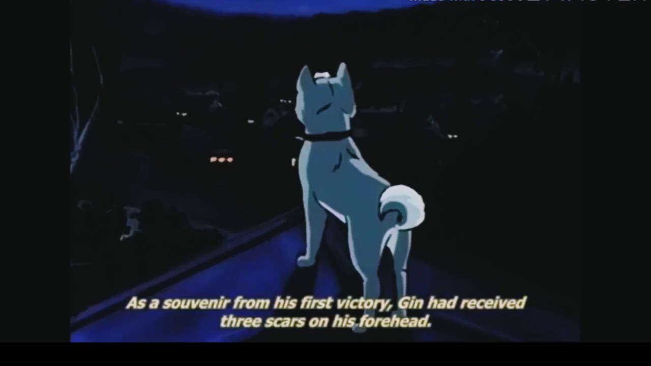 Ginga Nagareboshi Gin (GNG) AMV