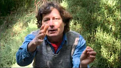 The Pearl Button (El botn de ncar) - The language ...