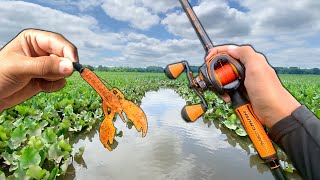 Fishing MILES Deep in a HIDDEN River (First time doing this)