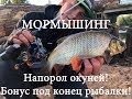 Мормышинг! Напорол окуней! Бонус под конец рыбалки!