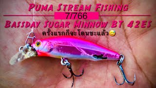 Bassday Sugar Minnow Bottom Twitcher 42ES | ครั้งแรกก็จะโดนซะแล้ว😅