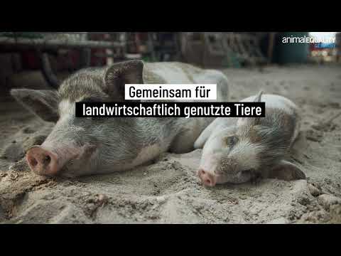 Wir kämpfen für eine bessere und gerechtere Welt für Tiere #missiontierschutz