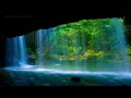 Gentle Waterfall Sounds. Waterfall Cave. Relax, Meditate, Sleep. 🌳