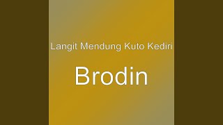 Brodin