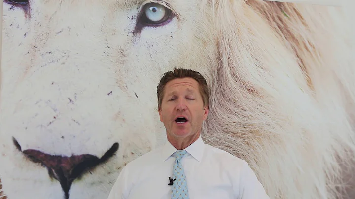 Appealing an Attorneys Fees Ruling in Florida