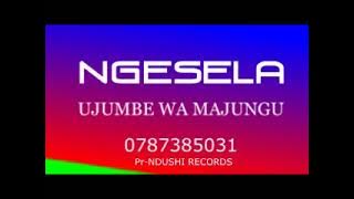 NGESELA MAJUNGU 0787385031 DONE BY NDUSHI RECORDS 01