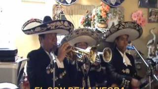 EL SON DE LA NEGRA-LAS MAÑANITAS-CIELITO LINDO-MARIACHI NUEVO JALISCO-TELF. 5681512