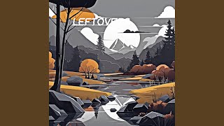 Leftovers
