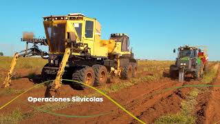Proyecto Sucuriú – Junio ​​2026