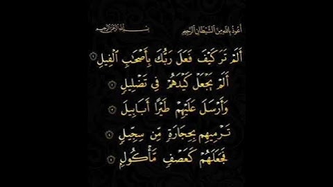 تلاوة سورة الفيل - بصوت الشيخ فارس عباد 🤍