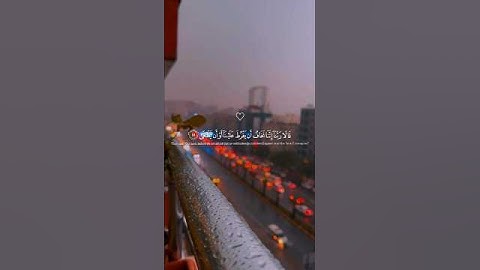 اكتب شئ تؤجر عليه 🤍🎧😴 ثم أرح سمعك ثم أرح قلبك 🤍🎧😴 هدوء وسكينه || القارئ شريف مصطفى 🤍