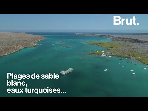 Vidéo: Écosystème Du Tourisme