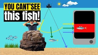 Sonar Dead Zones Explained: Why You Can't See Fish on Slopes & Drop-offs