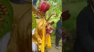 Barongan #barongan #barong #banyuwangi #banyuwangihitz