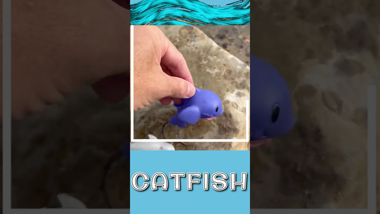 Sea Creature Sensory Water Play!  