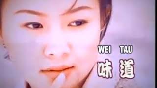 WEI TAU - TIMI ZHUO 卓依婷 (MANDARIN TOP SONG)