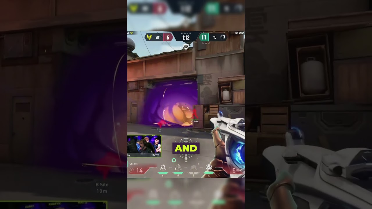 Kamyk hitting birds and bees 