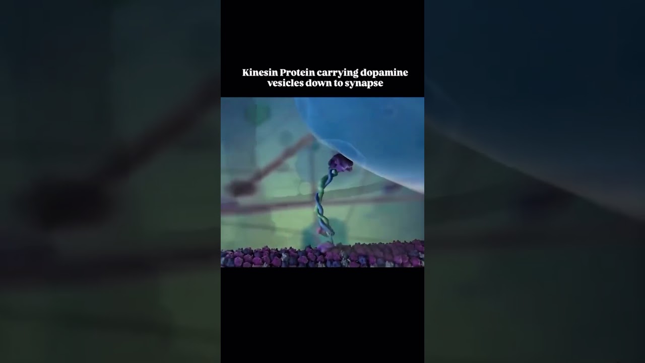 رقصة الدوبامين تحت المجهر♥︎♥︎