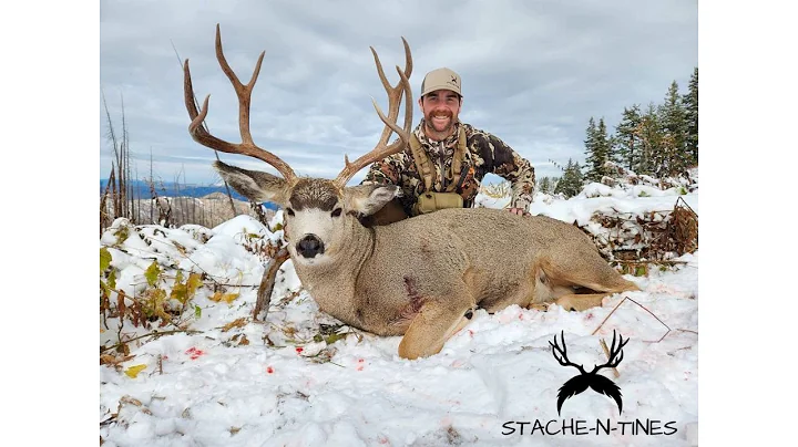 2022 Idaho Mule Deer