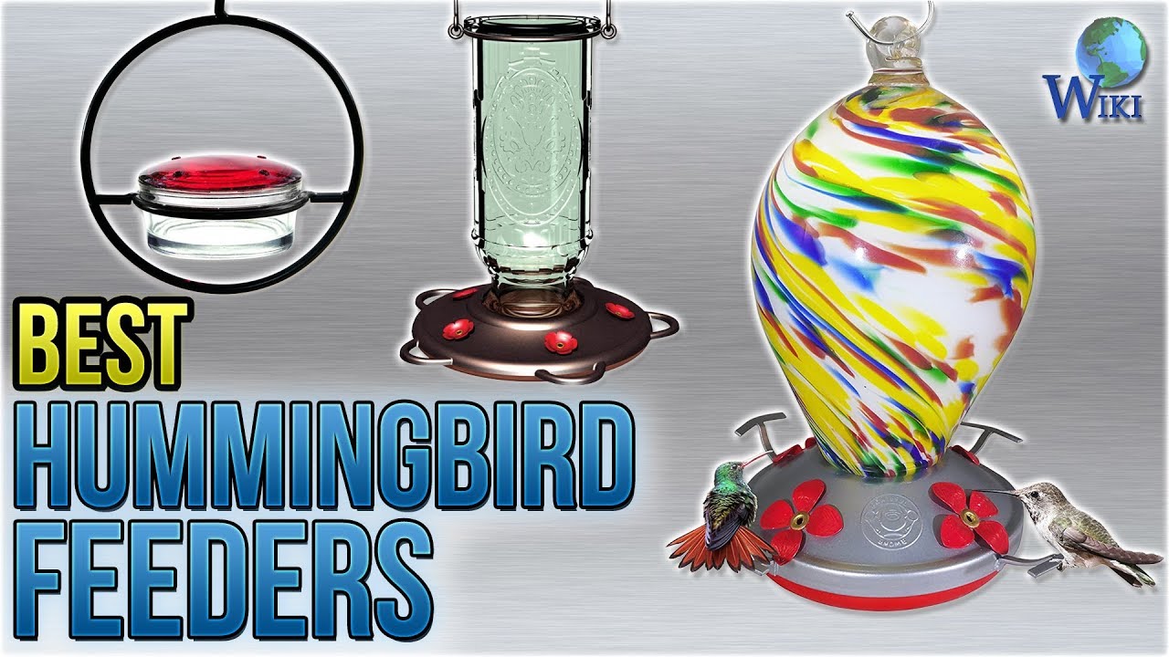 10 Best Hummingbird Feeders 2018 Youtube
