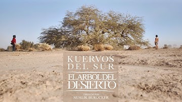 Kuervos del Sur - El árbol del desierto