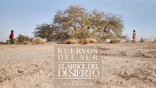 Video thumbnail of "Kuervos del Sur - El árbol del desierto"