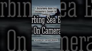 7 Most Disturbing SEA Encounters Caught on Camera
