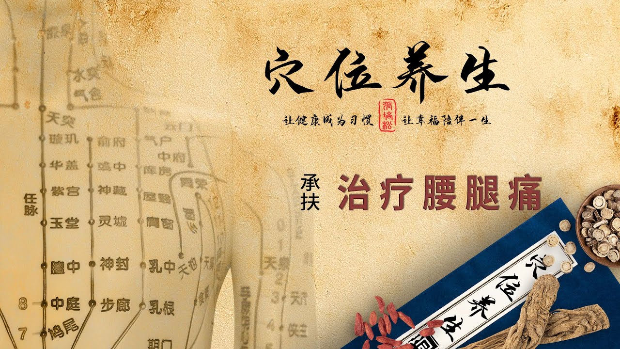 经络穴位养生 - 承扶穴 - 治疗腰腿痛 - YouTube