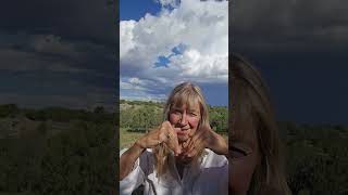 Horse  problems What if your horse's nervous system is connected to their hooves   July 29, 2026 