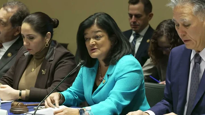 Rep. Jayapal Shadow Hearing on Trump's Immigration Crackdown & Detention Centers