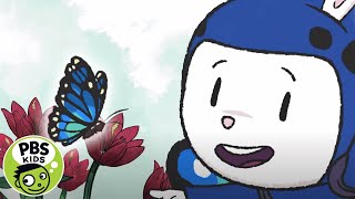 Elinor Wonders Why | 🦋 Butterfly Song! | PBS KIDS