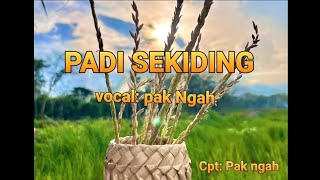 LAGU DAERAH JAMBI TERBARU \
