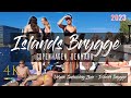 Islands brygge  september heatwave  bikini beach walk  denmark  4k  june  2023