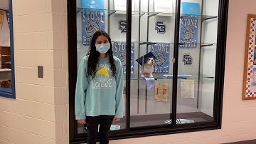 Lojy Hozyen- SEES internship video application