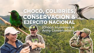 Chocó Andino, Ejército y Colibríes (Chocó, Army & Hummers) | Antioquia, Colombia | Field Guides by The Birders Show 5,467 views 7 months ago 14 minutes