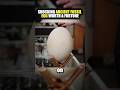 SHOCKING Ancient Fossil Egg Worth A Fortune! 🥚🦴