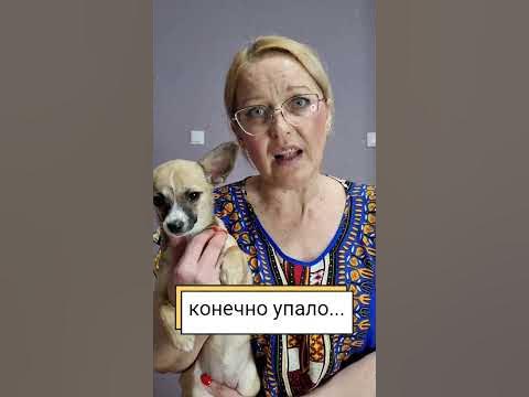 Мама не сдержалась 🤦‍♀️🙈😆 - YouTube