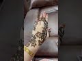 Simple mehndi design for any festival #teej #wedding #shaadi #shaadivibes #mehndi #hennadesign