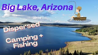 Big Lake Arizona Week  Big Lake Arizona  Free Dispersed Camping!