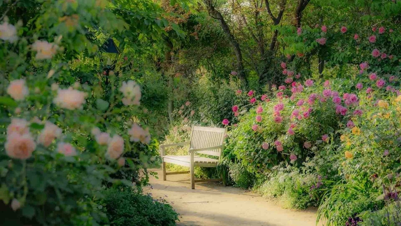 cozy spring vibes 🌿 soft piano playlist for work & reading