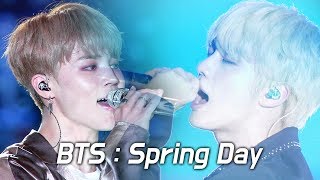 BTS : 봄날 Spring Day (fea. ARMY 떼창 fanchant) : LED FANCAM : LOTTE FAMILY CONCERT 2018 : 방탄소년단 180622