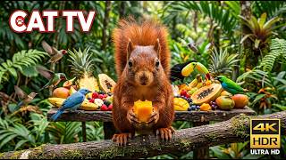 CAT TV 🐦🍒 Wild Birds Love This Giant Fruit Buffet