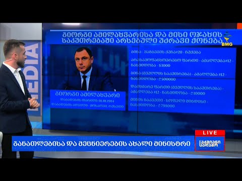 მიხეილ ჩხენკელს პარლამენტარი გიორგი ამილახვარი ცვლის - რა ქონებას ფლობს განათლების ახალი მინისტრი?