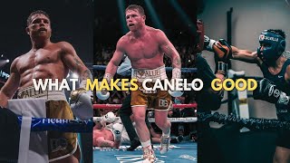 What Makes Canelo So Good 🇲🇽