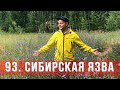 93 серия "Сибирская язва"