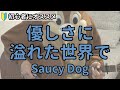 優しさに溢れた世界で/Saucy Dog/ギター弾き語り練習用動画(コード/ストローク/歌詞)
