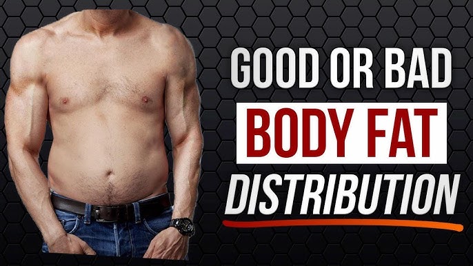 Accurately Estimate Body Fat Percentage: Visible Muscle Separation and  Definition — Eightify