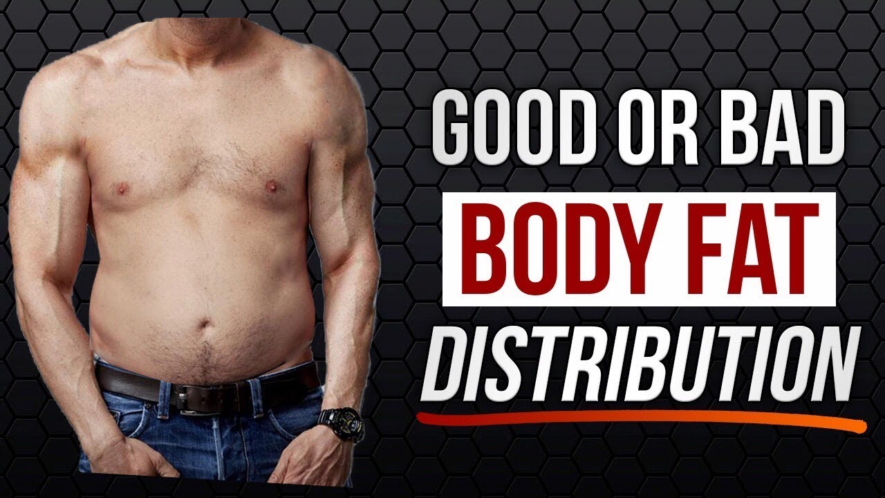 Body Fat Distribution