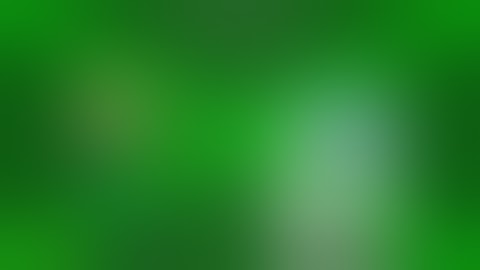 I interrupt Boris Anderson