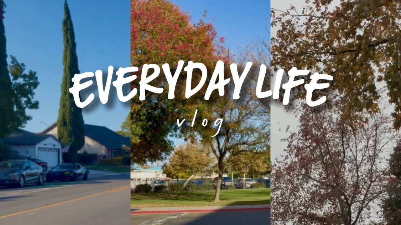 Everyday Life Vlog